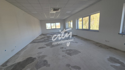 Lokal Wynajem Szczecin Prawobrzeże